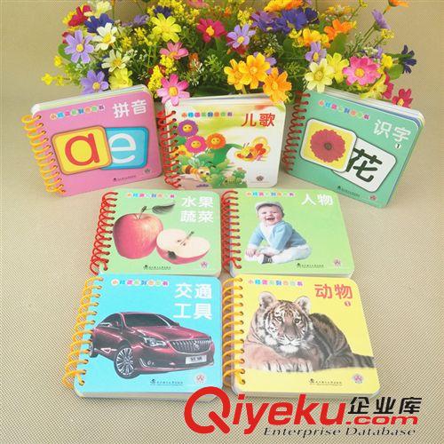 益智玩具 撕不爛/破的書認(rèn)知翻翻書兒童寶寶早教識(shí)字卡片口袋卡批發(fā)0-3歲原始圖片2