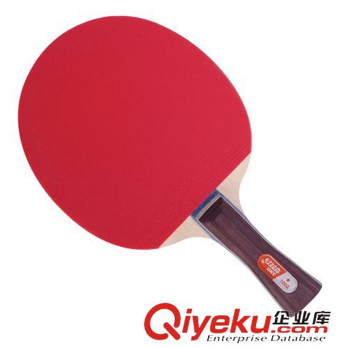 乒乓球拍 紅雙喜zptj一星級A1002橫拍雙面反膠乒乓球拍