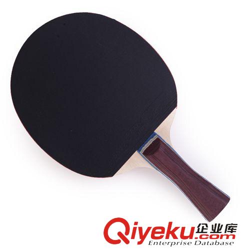 乒乓球拍 紅雙喜zptj一星級A1002橫拍雙面反膠乒乓球拍