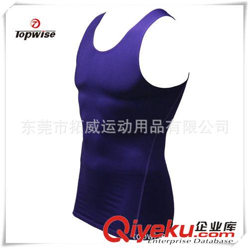 緊身系列 zp 運動休閑服裝 紫背心速干背心 無袖體能服速干背心