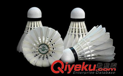羽毛球 zp威德博威No7鵝毛耐打羽毛球 初學(xué)訓(xùn)練球羽毛球批發(fā)原始圖片3