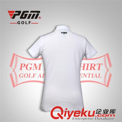 高爾夫服飾 zpPGM韓版春夏秋 新款時尚戶外女裝 高爾夫短袖t恤 高爾夫服裝原始圖片2