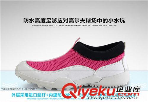 高爾夫球鞋 批發(fā)夏季新款 高爾夫 女款 防滑透氣 固定釘跑步運(yùn)動鞋 網(wǎng)布透氣原始圖片3