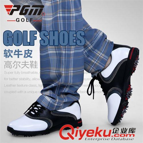 高爾夫球鞋 批發(fā)夏季新款 高爾夫 女款 防滑透氣 固定釘跑步運(yùn)動鞋 網(wǎng)布透氣