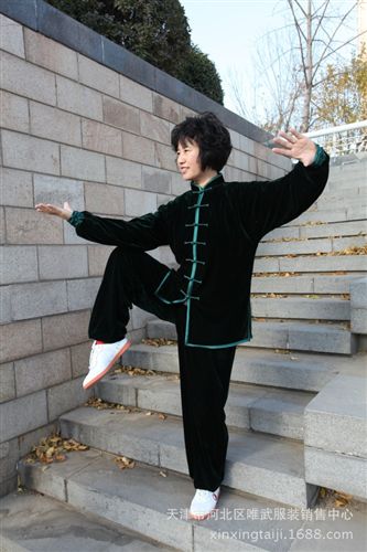 絲絨太極服 批發絲緞紫羅蘭武術服，太極服