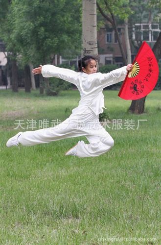彈力絲太極服 廠(chǎng)家批發(fā)彈力絲太極服。練功服。原始圖片3