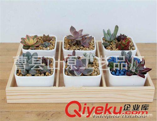 園藝工藝品 【曹縣山原工藝】廠家專業生產實木木質多肉肉托木質花盆