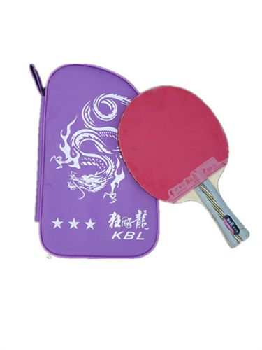 球拍 乒乓球拍 zp 狂飆龍 單只裝直拍乒乓球成品拍【3星包郵】原始圖片3