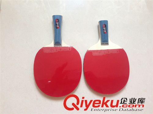 球拍 乒乓球拍 正品 狂飆龍 單只裝直拍乒乓球成品拍1星[包郵】原始圖片2