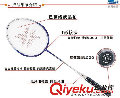 球拍 zp羽毛球拍tj2支裝森斯伯特118超值爆款娛樂情侶羽拍