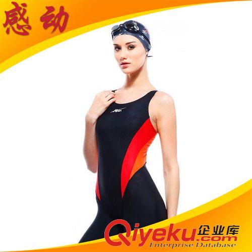 泳衣 批發(fā) Few飄女士連體及膝游泳衣 F2177國(guó)際泳聯(lián)認(rèn)證專業(yè)比賽泳衣