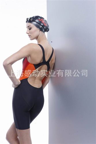 泳衣 批發(fā) Few飄女士連體及膝游泳衣 F2177國(guó)際泳聯(lián)認(rèn)證專業(yè)比賽泳衣