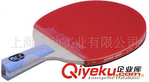 乒乓器材類 紅雙喜乒乓球拍6006六星乒乓球拍直拍雙面反膠弧圈結(jié)合快攻
