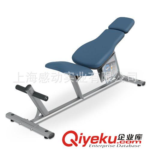 力量訓練器材 tj熱銷 美國力健三頭肌訓練器 TCTP力健多功能力量訓練器械