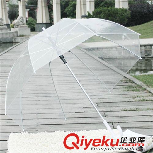 夏季熱銷貨源 長柄透明傘 果凍色可ts韓國公主傘 精美工藝晴雨傘遮陽傘 226g原始圖片2