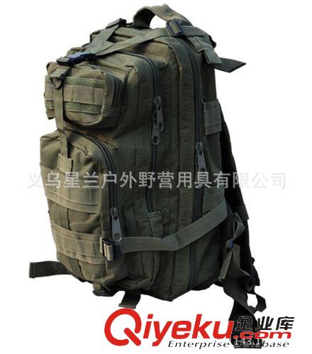 現貨tj背包 廠家 3P背包 戰術背包 迷彩 野營包 攻擊背包 登山包 迷彩原始圖片2