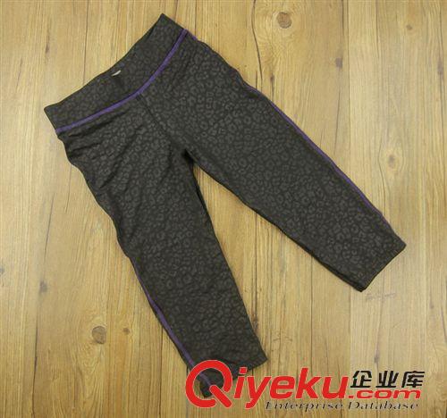3月新貨 外貿(mào)原單 女款 暗豹紋彈力 瑜伽褲 跑步褲 運(yùn)動(dòng)中褲加肥加大原始圖片2