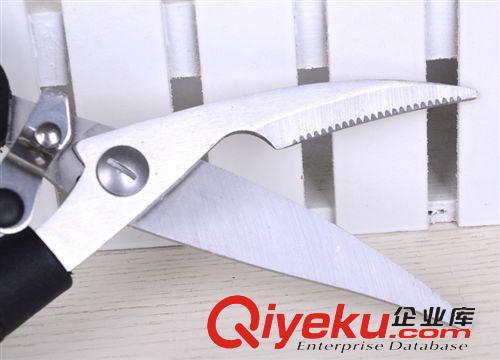 剪刀 經(jīng)銷供應(yīng) 新款廚房多用剪刀 多功能不銹鋼剪刀 9元9貨源雞骨剪原始圖片3