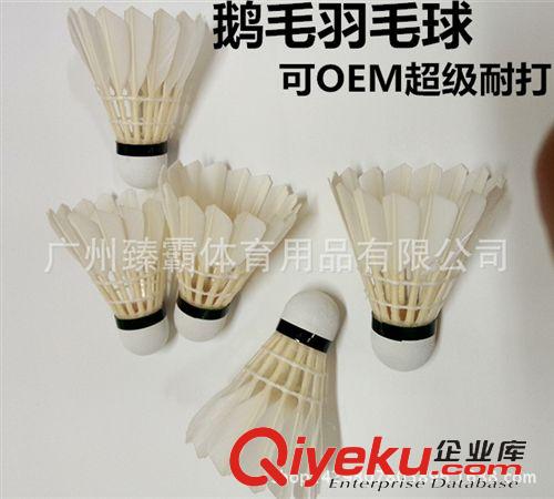 羽毛球 可OEM 鵝毛羽毛球 鵝刀翎耐打羽毛球 鷀鵠鴨毛羽毛球 穩定羽毛球