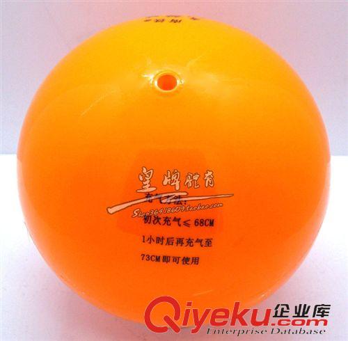 排球 zp 南鐵氣排球 比賽氣排球 標準比賽用球 高彈排球 練習氣排球