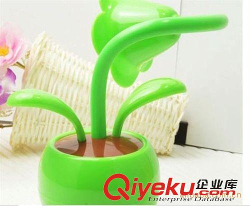 可愛小臺(tái)燈 批發(fā)供應(yīng)USB電池兩用蘋果花兒臺(tái)燈原始圖片3