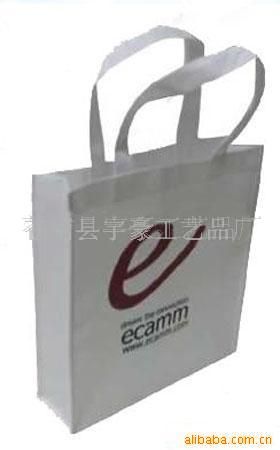 禮品手提袋 A供應禮品袋(圖)