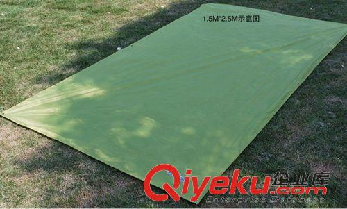 墊子類 藍(lán)色領(lǐng)域多彩超輕加厚地席天幕多色(1.5m*2.5m)原始圖片3