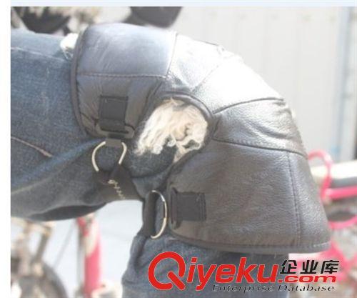 海寧皮革城皮具 頭層牛皮澳洲羊毛短款護膝zp電動車防寒保暖護膝摩托車護膝