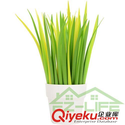 辦公用品 大號創意文具 圓珠筆 環保裝飾盆栽筆 韓國進口Pooleaf清新草葉筆