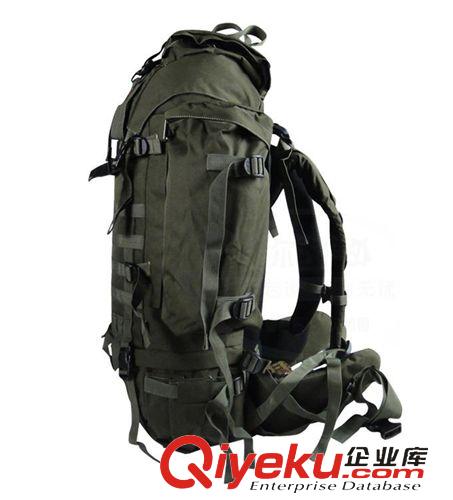 背包丨收納包 eye登高者專業(yè)運動登山背包65L+10 戶外旅行軍綠色多功能雙肩背包原始圖片2