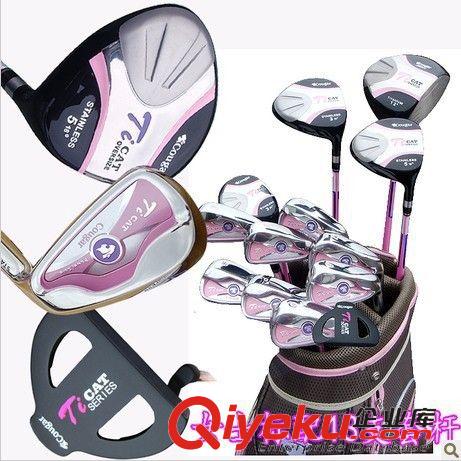 Cougar美洲豹 廠家zp直銷 cougar golf 女用套桿 高爾夫球桿 高爾夫原始圖片2