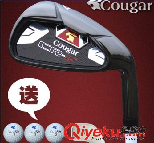 Cougar美洲豹 高爾夫球桿 zp 球具 黃金版 7號練習桿 男式 女式原始圖片2