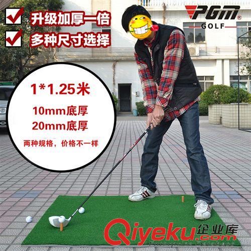 高爾夫練習(xí)用品 室內(nèi)高爾夫球 練習(xí)網(wǎng) Golf 揮桿練習(xí)器 配1*1.25米打擊墊套裝