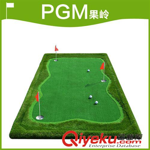 高爾夫練習(xí)用品 高爾夫廠家 高爾夫推桿練習(xí)器 高爾夫室內(nèi) 高爾夫人工果嶺 果嶺原始圖片2
