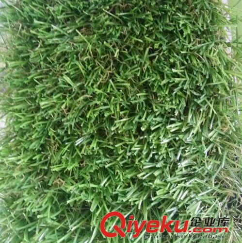 高爾夫人造草坪 高爾夫廠家 3cm 人造草坪 果嶺草仿zp 塑料仿真 高爾夫草坪原始圖片2