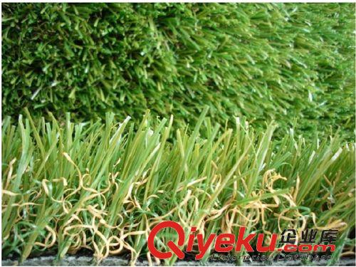 高爾夫人造草坪 高爾夫廠家 3cm 人造草坪 果嶺草仿zp 塑料仿真 高爾夫草坪原始圖片3