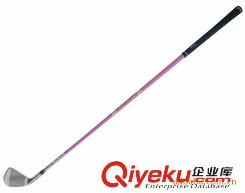 高爾夫7號鐵 廠家批發 美洲豹 女式7#練習鐵桿 高爾夫球桿 zp原始圖片3