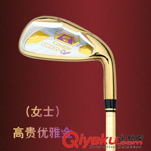 高爾夫7號鐵 高爾夫球桿 zp 球具 黃金版 7號練習桿 男式 女式原始圖片3