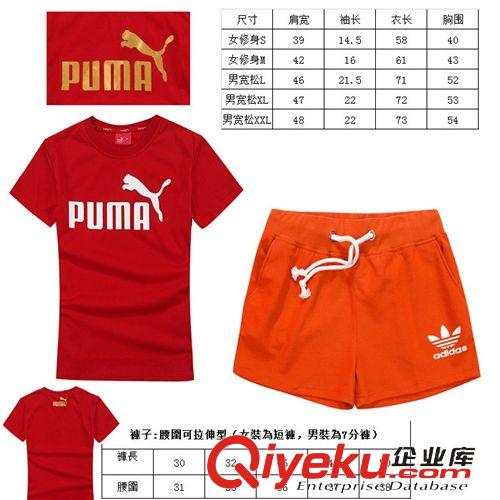 運(yùn)動(dòng)、休閑套裝 2015  夏季新款 時(shí)尚休閑 短T短褲 女士套裝