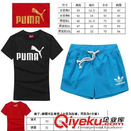 運動、休閑套裝 2015  夏季新款 時尚休閑 短T短褲 女士套裝原始圖片2