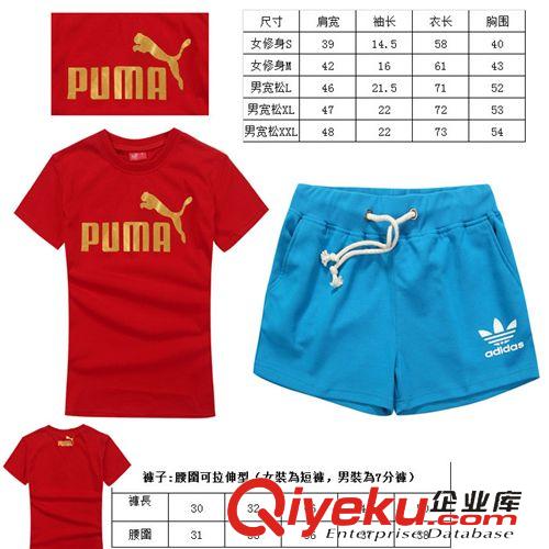 運動、休閑套裝 2015  夏季新款 時尚休閑 短T短褲 女士套裝原始圖片3
