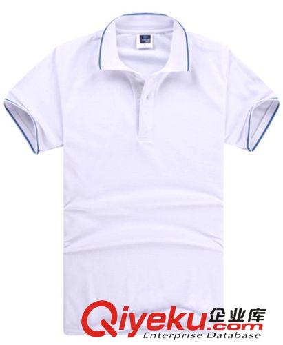 廣告衫系列 全棉網眼透氣男式t恤 gd男士POLO 夏季短袖廣告衫 定制批發武漢