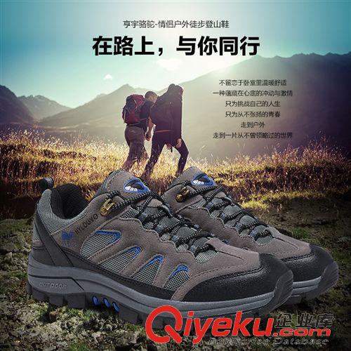 亨宇駱駝登山鞋 2015年新款男士休閑戶外登山鞋運動防滑爬山鞋耐磨情侶低幫鞋單鞋
