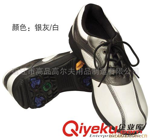 高爾夫球鞋 供應(yīng)高品高爾夫鞋 高爾夫球鞋子 高爾夫運(yùn)動(dòng)鞋 1原始圖片3