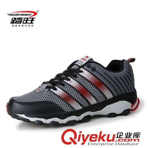 網(wǎng)跑鞋系列 踏旺 2014春夏新款時(shí)尚網(wǎng)面透氣跑鞋 運(yùn)動(dòng)鞋 6008A原始圖片2