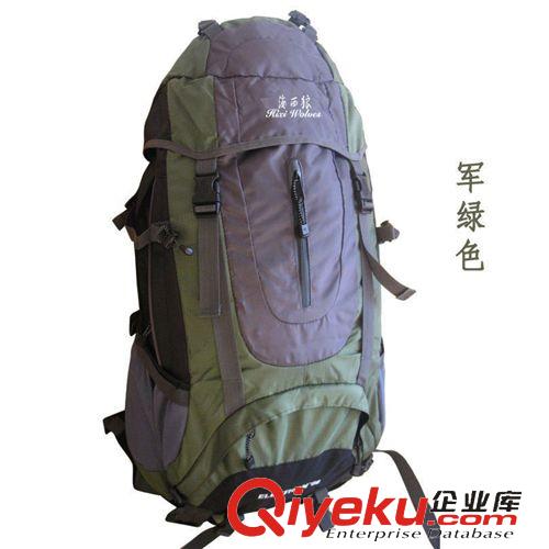 戶外背包 戶外登山包 運動背包 雙肩旅行包 60L 懸浮支架