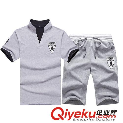 運動套裝 2015夏季新款男士運動套裝男式休閑套裝立領(lǐng)短袖休閑跑步運動服原始圖片2