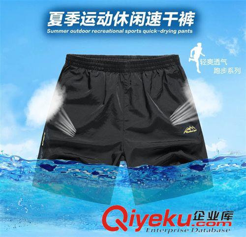 運動褲 2015春夏新品女士沙灘褲運動短褲羽毛球褲五分休閑褲