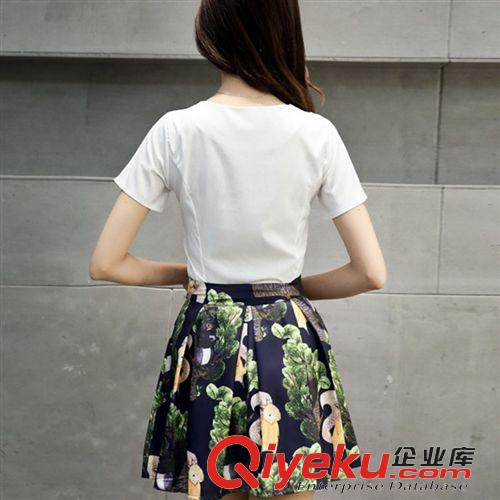 套裝裙 2015夏季女裝新款韓版修身顯瘦連衣裙短袖印花兩件套套裝裙批發(fā)原始圖片3