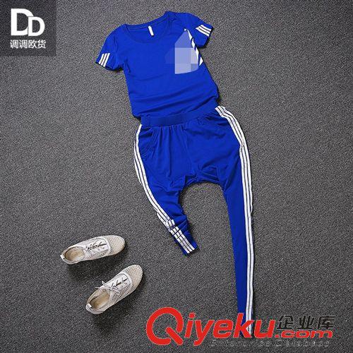 【休閑褲套裝】 運(yùn)動(dòng)必備 2015新款 女裝圓領(lǐng)t恤短袖修身鉛筆褲運(yùn)動(dòng)套裝 Z3041原始圖片2